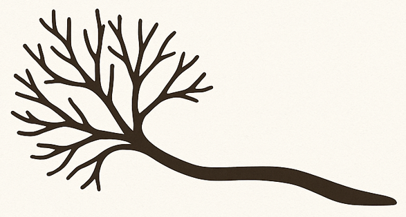 Branch Consulting